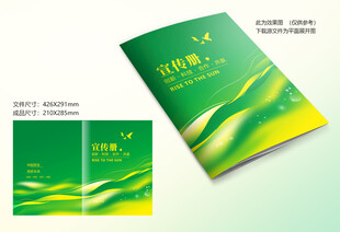 绿色线条封面