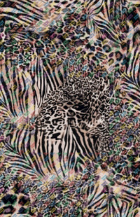 斑马纹图案纹理特写