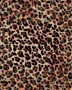 豹纹图案纹理