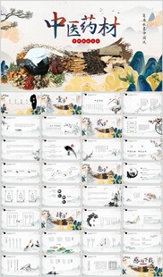 养生中药中医药理PPT模板