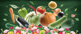 蔬菜 瓜果