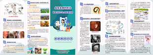 血吸虫病 黑热病