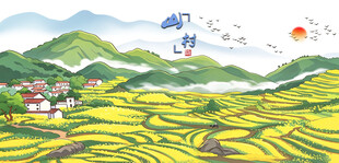 油菜花开油菜花海
