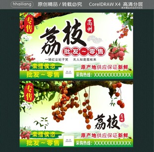 专售高州荔枝