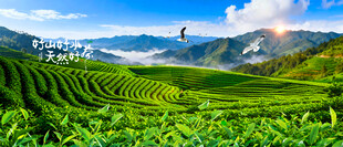 草原梯田