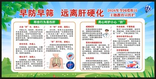 全国爱肝日宣传栏