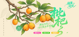 枇杷