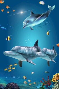 海底世界