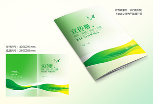 绿色线条封面