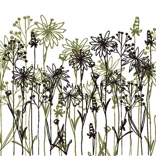 手绘花卉植物插画