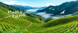 茶山