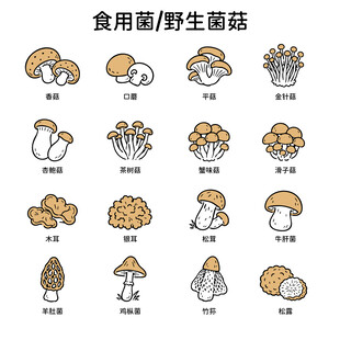 矢量手绘线条蘑菇菌菇图标