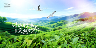 茶山茶园