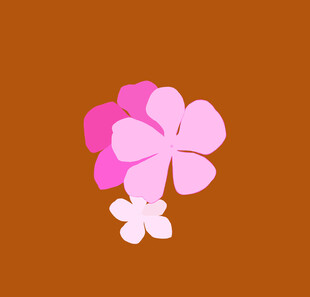 粉色的花朵