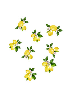 柠檬 数码