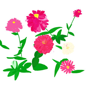 多彩花卉插画