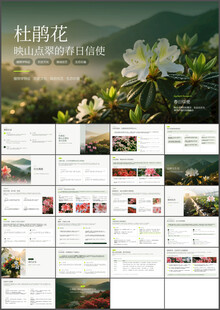 映山点翠杜鹃花介绍ppt课件