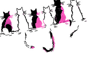 五只穿粉衣的可爱猫咪