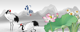 仙鹤白鹤丹顶鹤荷花图