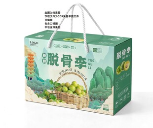脱骨李手提礼盒包装