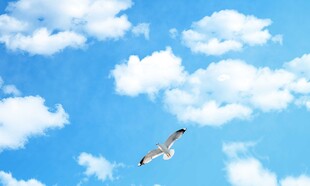 蓝天