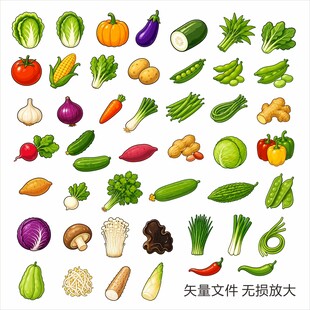 多样蔬菜集合展示