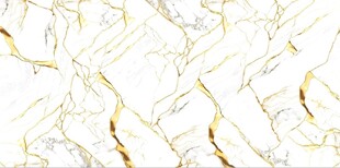 白色鱼肚金大理石石纹