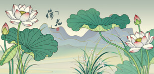 夏日荷塘荷花绽放图景