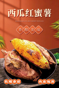 西瓜红蜜薯