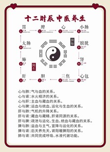 十二时辰中医养生图