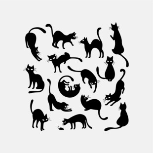 猫