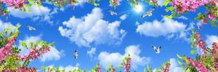 蓝天白云