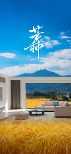 芒种门窗海报