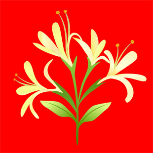 红色背景上的黄色花卉图案矢量花