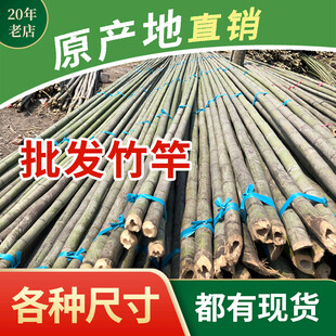 竹子主图设计 批发各种尺寸竹竿