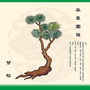 中药甘松