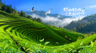 茶山风景画
