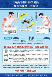 登革热和基孔肯雅热防控