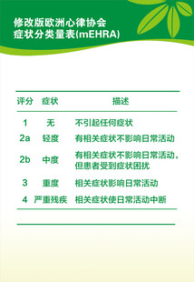修改版欧洲心律协会症状分类量表