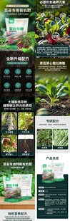 菜苔详情