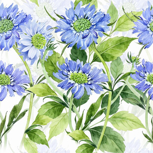 蓝花绿叶水彩绘花卉图