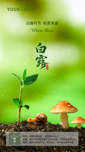 白露海报