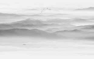 山水水墨画