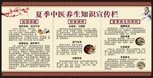 夏季中医健康教育知识宣传栏
