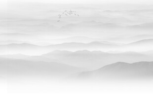 山水水墨画