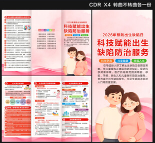 2026年预防出生缺陷日三折页