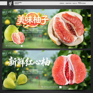 柚子