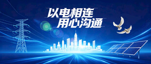 电网电力