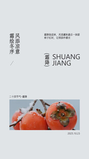 霜降节气简约清新海报