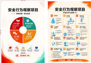 安全行为规范项目概览
